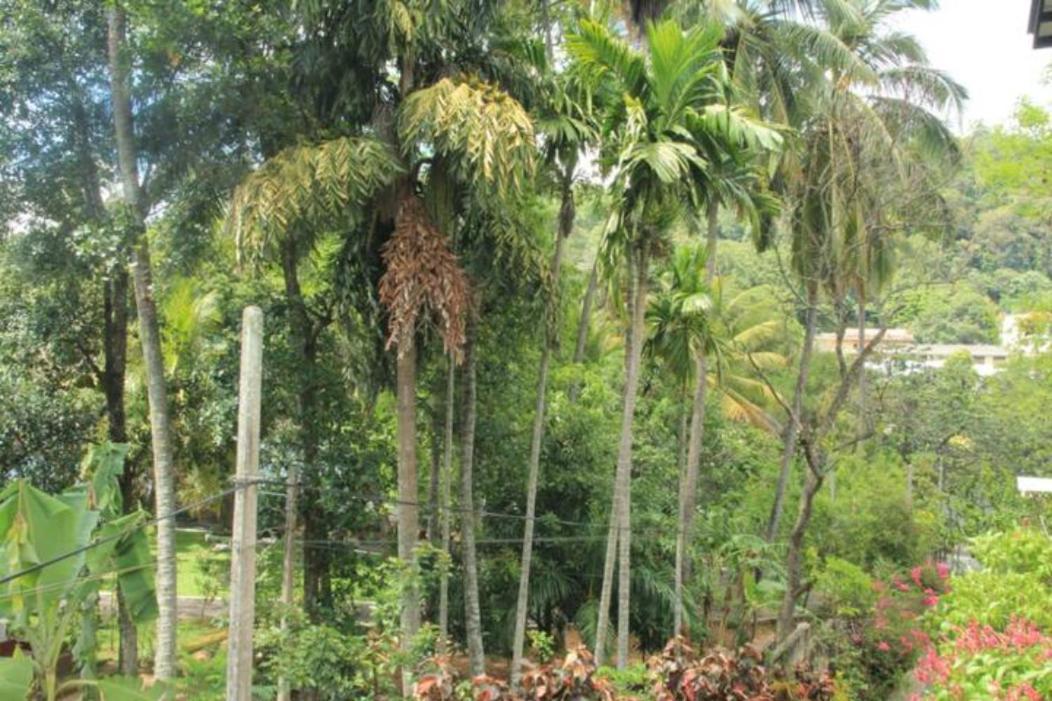 Lake Round Residence Kandy Extérieur photo